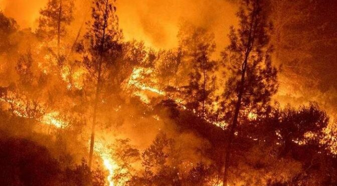 Plano de Emergência 3 3 3